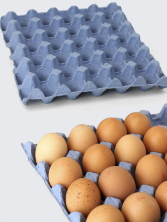 Линия для переработки макулатуры в упаковку для яиц и другие виды упаковки Bremen