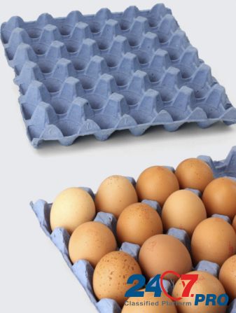 Линия для переработки макулатуры в упаковку для яиц и другие виды упаковки Bremen - photo 3
