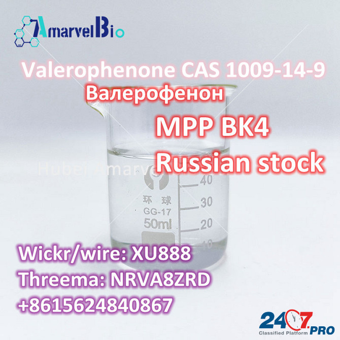 Warehouse price CAS 1009-14-9 for safe delivery Москва - изображение 8