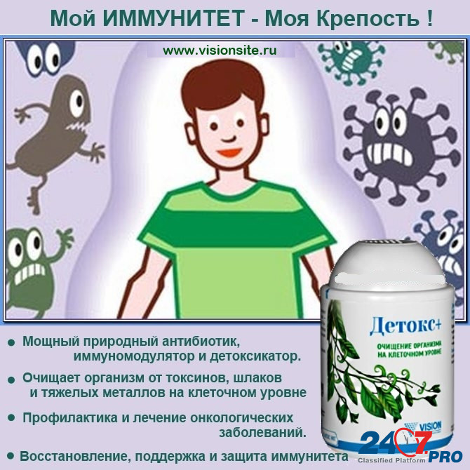 ДЕТОКС Vision Очищение организма на клеточном уровне, иммунитет Krasnoyarsk - photo 3
