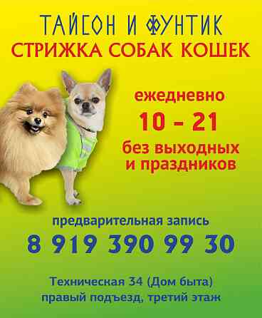 Стрижка собак и кошек в салоне Yekaterinburg