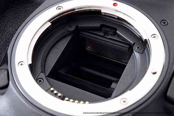 Canon EOS 7D Mark II DSLR Корпус камеры с комплектом для хранения Moscow