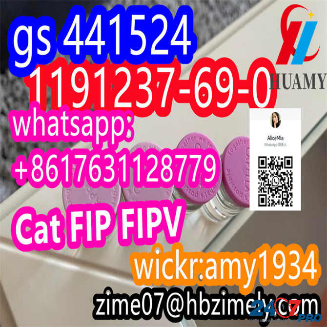 GS-441524 CAS1191237-69-0 cat FIP FIPV factory supplier wickr:amy1934 whats/skype:+8617631128779 tel Эльбасан - изображение 1