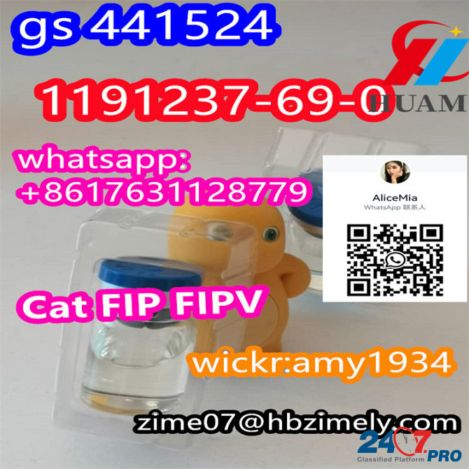 GS-441524 CAS1191237-69-0 cat FIP FIPV factory supplier wickr:amy1934 whats/skype:+8617631128779 tel Elbasan - photo 4