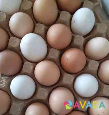 Домашние яйца Al'met'yevsk