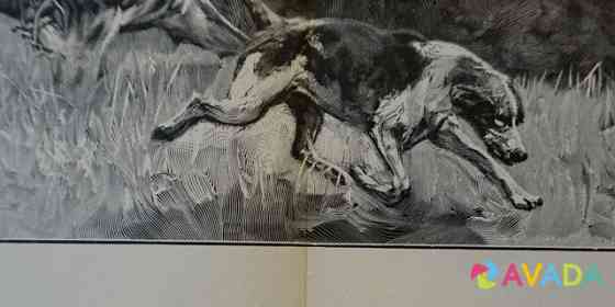 Старинная гравюра 1892 г. охота лошадь антиквариат Kaliningrad