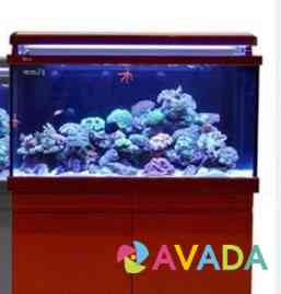 Морской аквариум Reefer от компании Red Sea 450 л Naberezhnyye Chelny