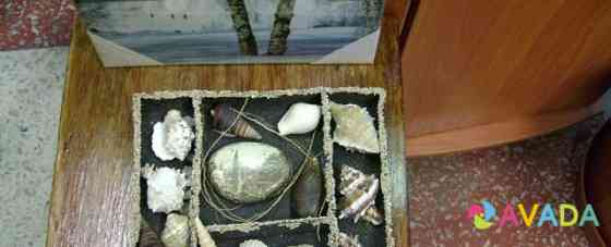 Набор редких ракушек в + старинный камень с фото Zarechnyy