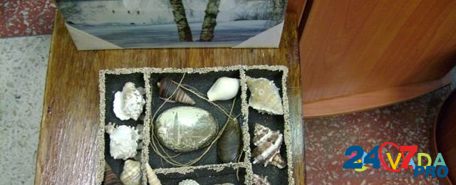 Набор редких ракушек в + старинный камень с фото Zarechnyy - photo 1