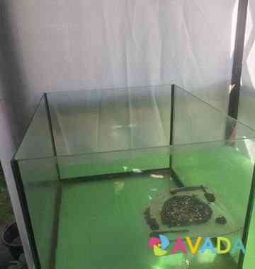 Аквариум для водной черепахи Bogorodsk