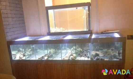 Холодноводные аквариумы Волгоград