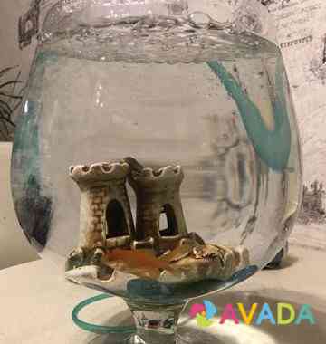 Золотая Рыбка, аквариум, компрессор Irkutsk