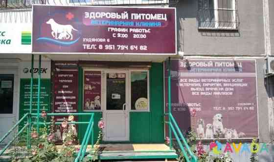 Ветеринарный врач Челябинск