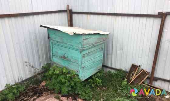 Пчёлы 2 семьи с ульем и без Nizhniy Novgorod