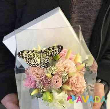 Подарок живые бабочки Chelyabinsk