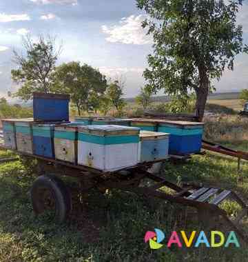 Платформы для пчёл Mineralnye Vody