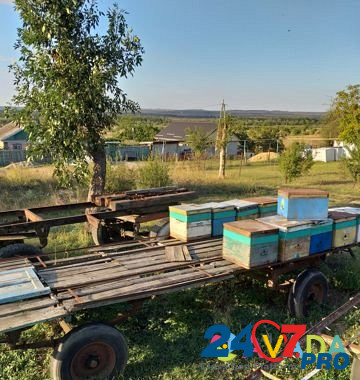 Платформы для пчёл Mineralnye Vody - photo 4