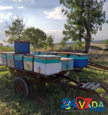 Платформы для пчёл Mineralnye Vody - photo 3