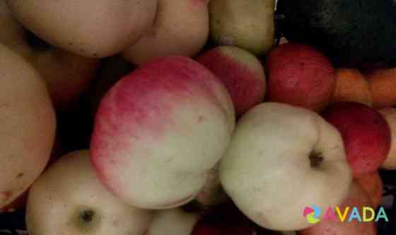 Овощи для животных, яблоки даром Yoshkar-Ola