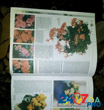 Все о комнатных растениях Tula - photo 3