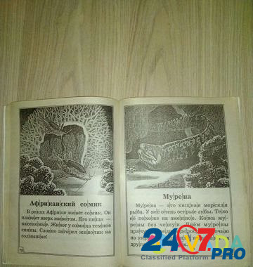 Книга для обучения чтению Нижний Новгород - изображение 2