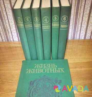 Книги. Жизнь животных Morskoy Port Petropavlovsk-Kamchatskiy