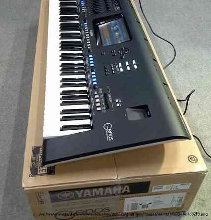 Yamaha Genos 76-Key ,  Korg Pa5X , Korg Pa4X ,  Yamaha PSR-SX900, Korg PA-1000, Yamaha Montage 8 Moscow