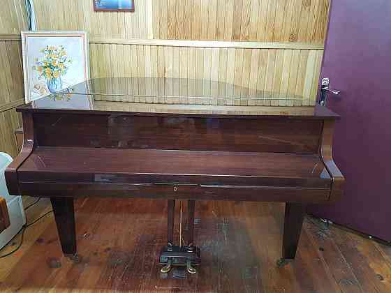 Выкуп пианино, роялей зарубежных производителей Moscow