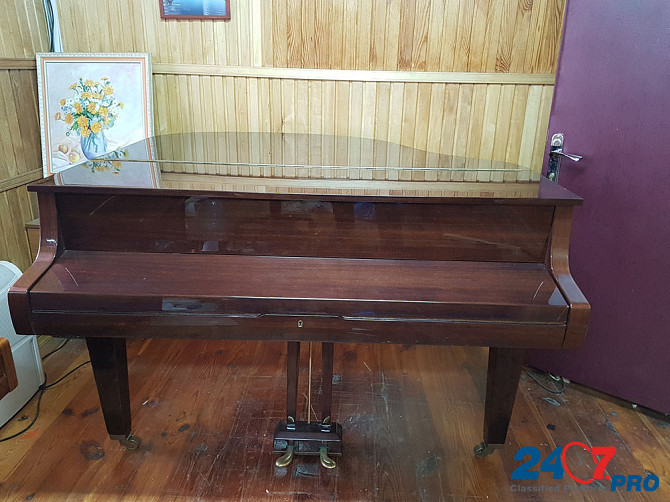 Выкуп пианино, роялей зарубежных производителей Москва - изображение 2