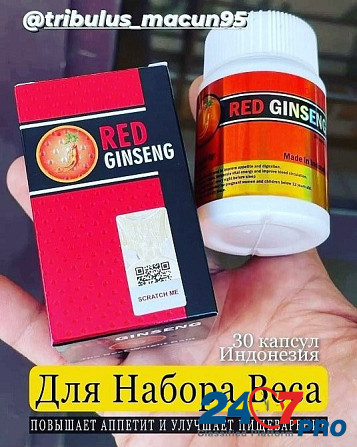 Red Ginseng капсулы для набора веса Грозный - изображение 1