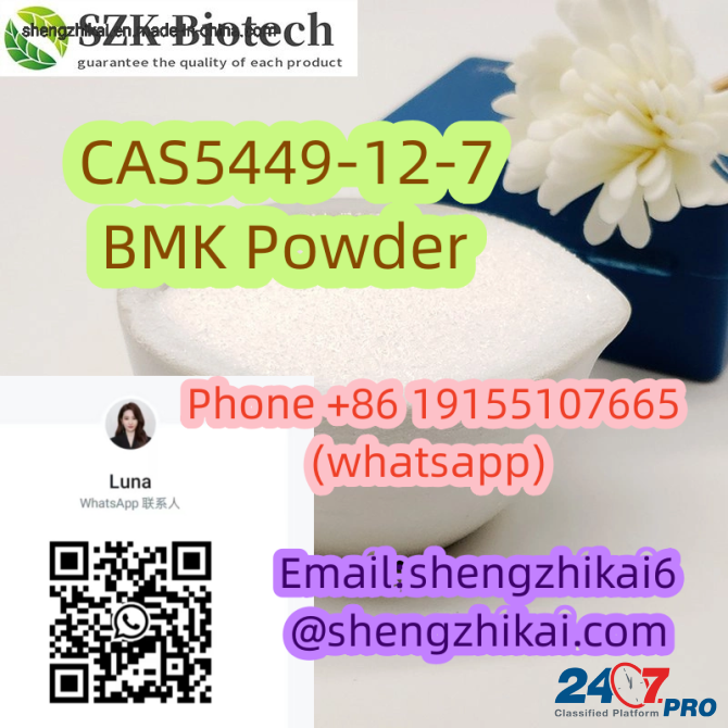 Горячая продажа 2-метил-3-фенилоксиран-2-карбоновой кислоты CAS 5449-12-7 Сидней - изображение 2