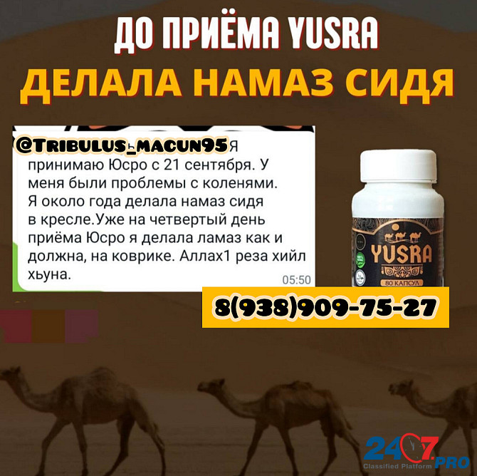 Yusra капсулы верблбжье молоко и моча.Юсра Groznyy - photo 6