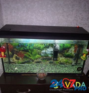 Продаю аквариум Dmitrov - photo 1