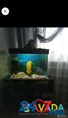 Продам аквариум Krasnyy Sulin - photo 3