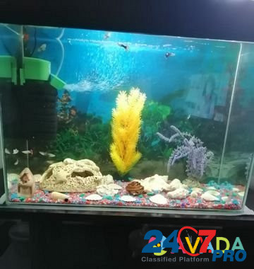 Продам аквариум Krasnyy Sulin - photo 1