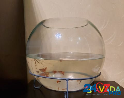 Аквариум с рыбками Surgut - photo 1