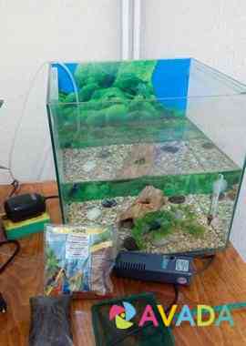 Продам аквариум со всем содержимым Krasnoyarsk