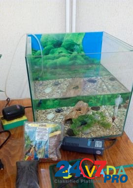 Продам аквариум со всем содержимым Krasnoyarsk - photo 3