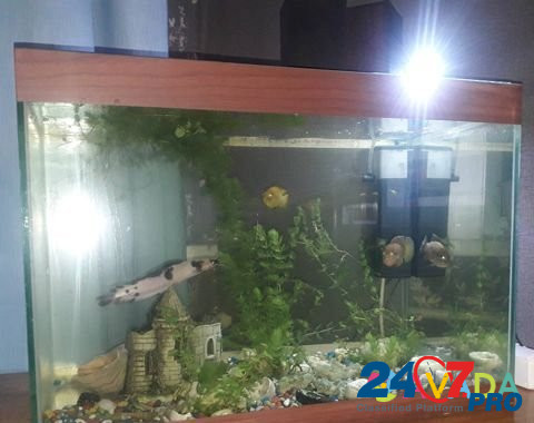 Продам аквариум Bratsk - photo 1