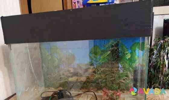 Большой Аквариум с фильтром, крышкой. Рыбки Volgograd
