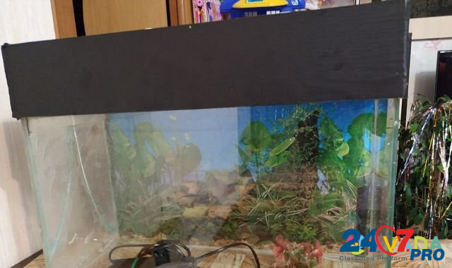 Большой Аквариум с фильтром, крышкой. Рыбки Volgograd - photo 4