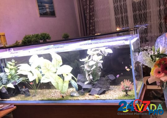 Продам аквариум Mirnyy - photo 1