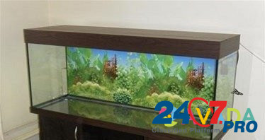 Продам аквариумы готовые и на заказ Krasnoyarsk - photo 4