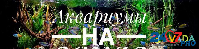 Продам аквариумы готовые и на заказ Krasnoyarsk - photo 1