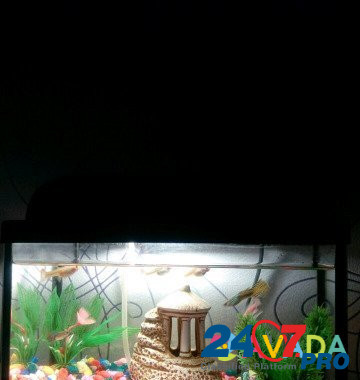 Аквариум светильник Shuya - photo 4