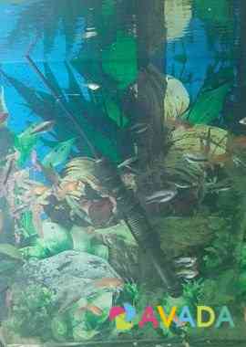 Рыбки аквариумные Mikhaylovka