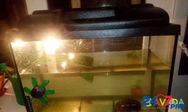 Черепашка с аквариумом Tver - photo 1