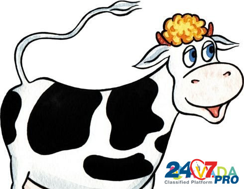Продаётся стельная корова с телочкой Kamyzyak - photo 1