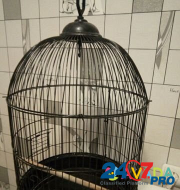 Клетка для попугаев Липецк - изображение 1