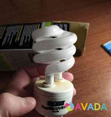 Лампа энергосберегающая Икша